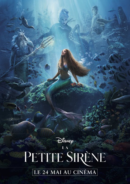 5b05144b 4d60 4e3b b70a 6645914a6127 la petite sirene disney 3 couleurs 194