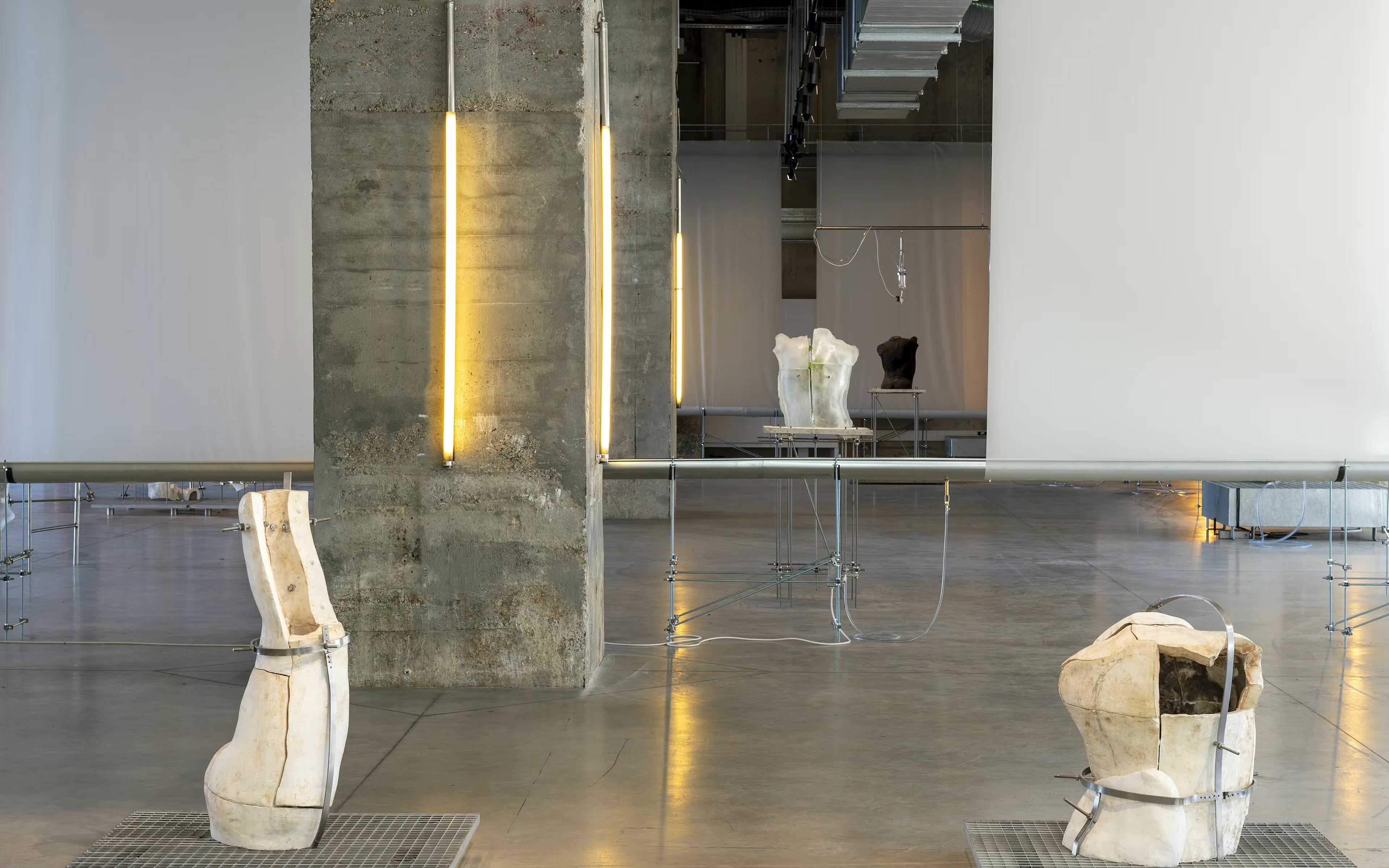Expo : avec « Morphose », Hugo Servanin irrigue de son talent les Magasins Généraux 1 7640225a 0b6c 4d7d b21a f3853ffa3045 hugoservanin128c29marcdomage