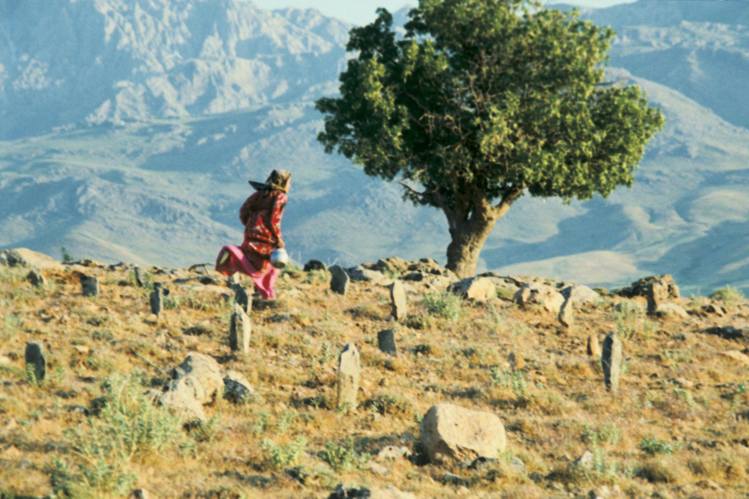 Abbas Kiarostami : une rétrospective et une exposition exceptionnelles au Centre Pompidou avec mk2 1 7c916bee 20ac 4ae3 b4c6 310ee9b3d048 kiarostami2