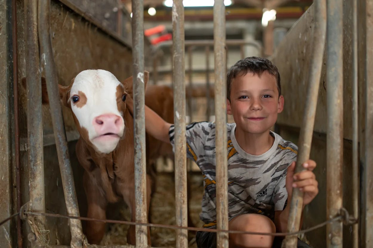« La Ferme des Bertrand » de Gilles Perret : journal de campagne 1 a2103fc7 d15e 41e1 9f50 86dac6bd9fc5 4220227