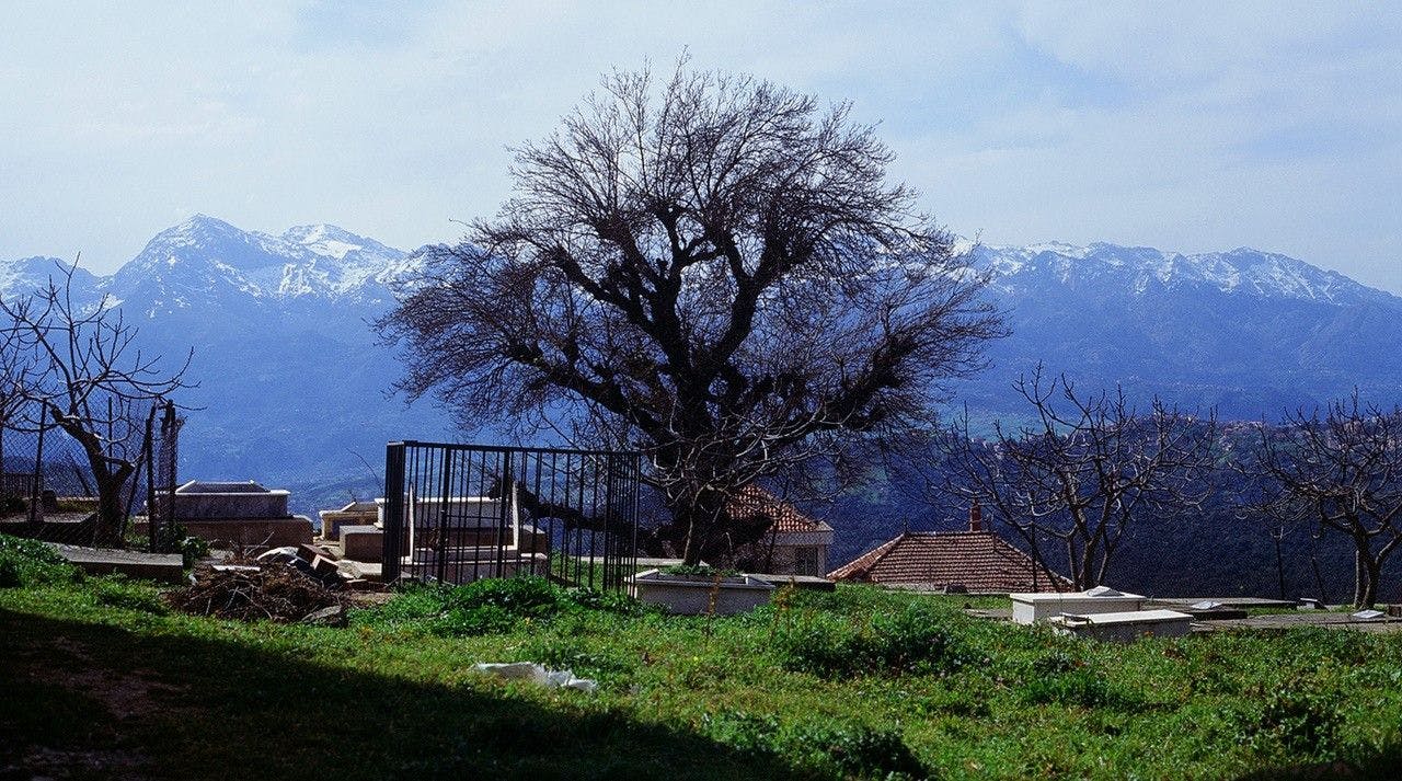 « Marin des montagnes » de Karim Aïnouz : retour à la terre 1 dee6e40e b7a2 4827 8e7e 20af278004ad marindesmontagnes