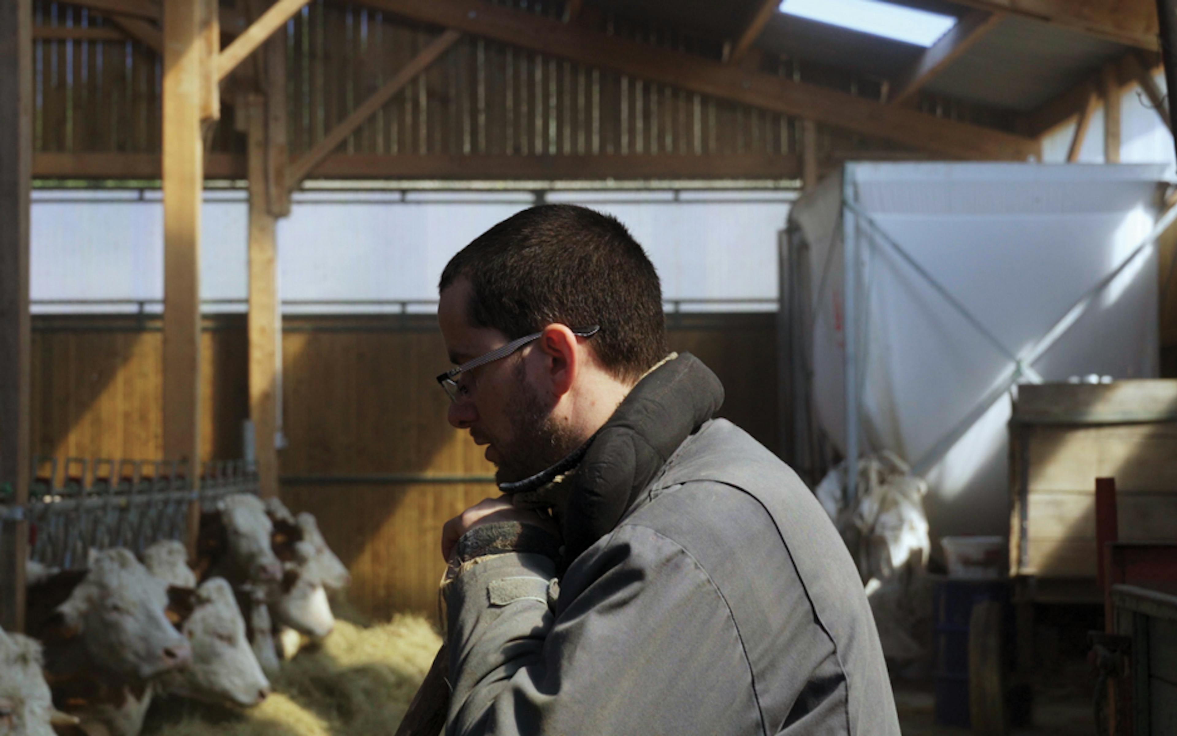 « Cyrille, agriculteur, 30 ans, 20 vaches, du lait, du beurre, des dettes » : un docu puissant sur la difficulté du monde agricole 1 mdg5zjizodutn2i0ms00owiylwe1otctytg3ode4mtmzyzfh cyrille 2