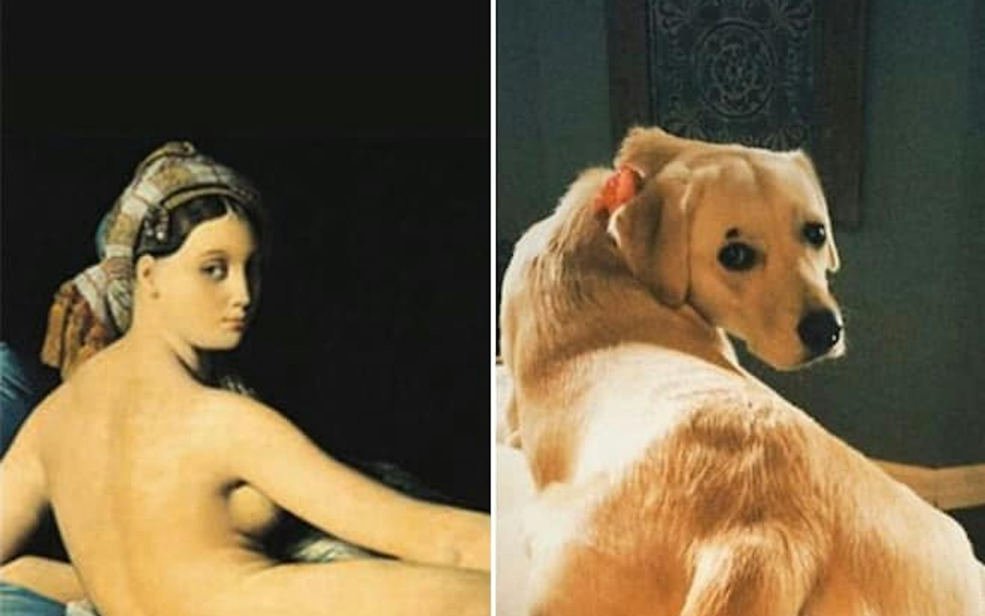 L’art du confinement #13 : Claudia Andujar, Sims et Judah Roger… les bonnes idées artistiques pour nous occuper 1 mdnhztnmmzatnzyxny00nwq4lwi3owytyjqxmdg4yjfmoguy ingres et chien