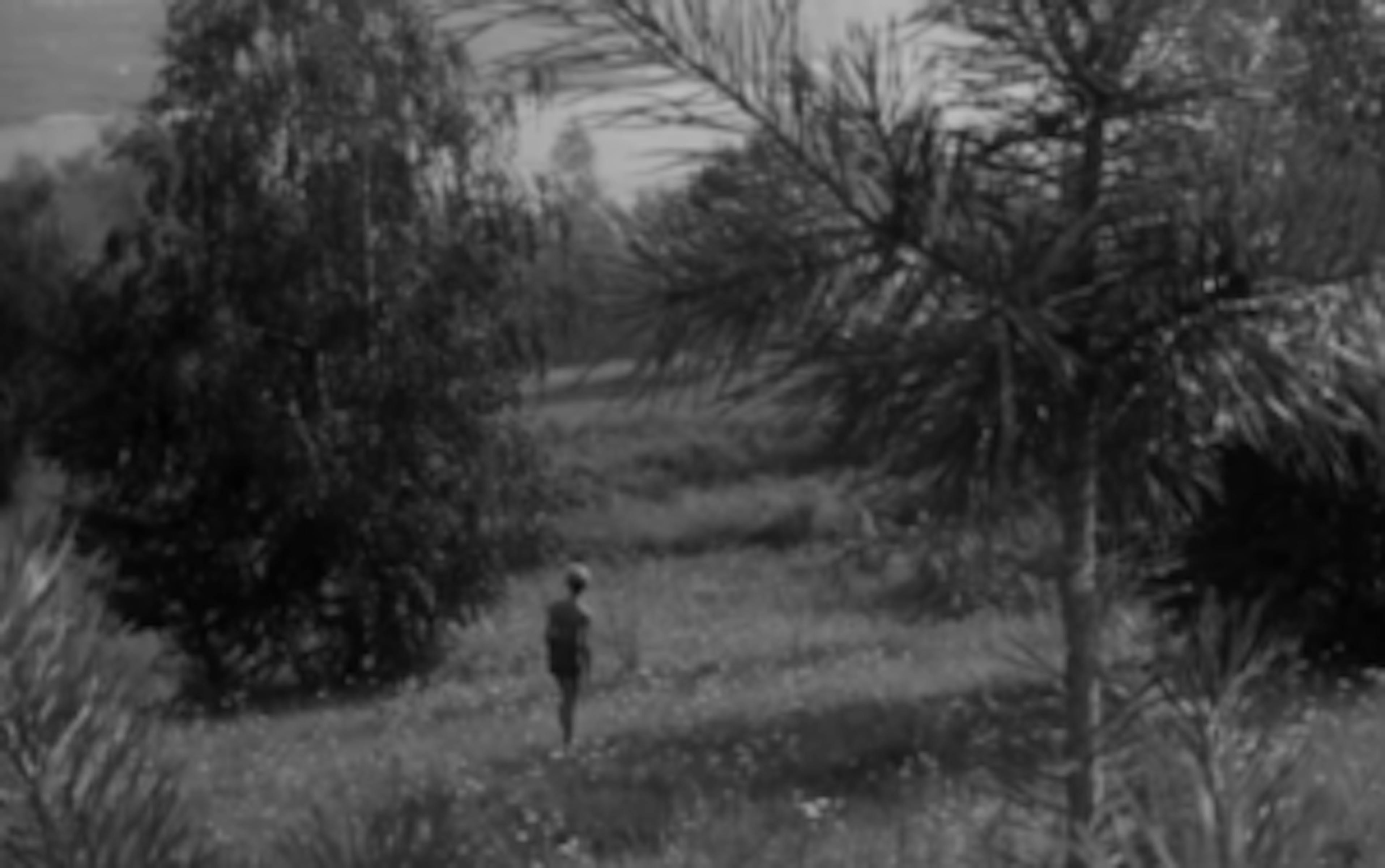 Tarkovski, Kubrick, Hitchcock, Akerman… En vidéo, on confronte les premiers et derniers plans de leur œuvre 1 mwexowm0otmtnmiwzi00oti0lwixm2ytmtq1zge1mjixyjaz premier et dernier une