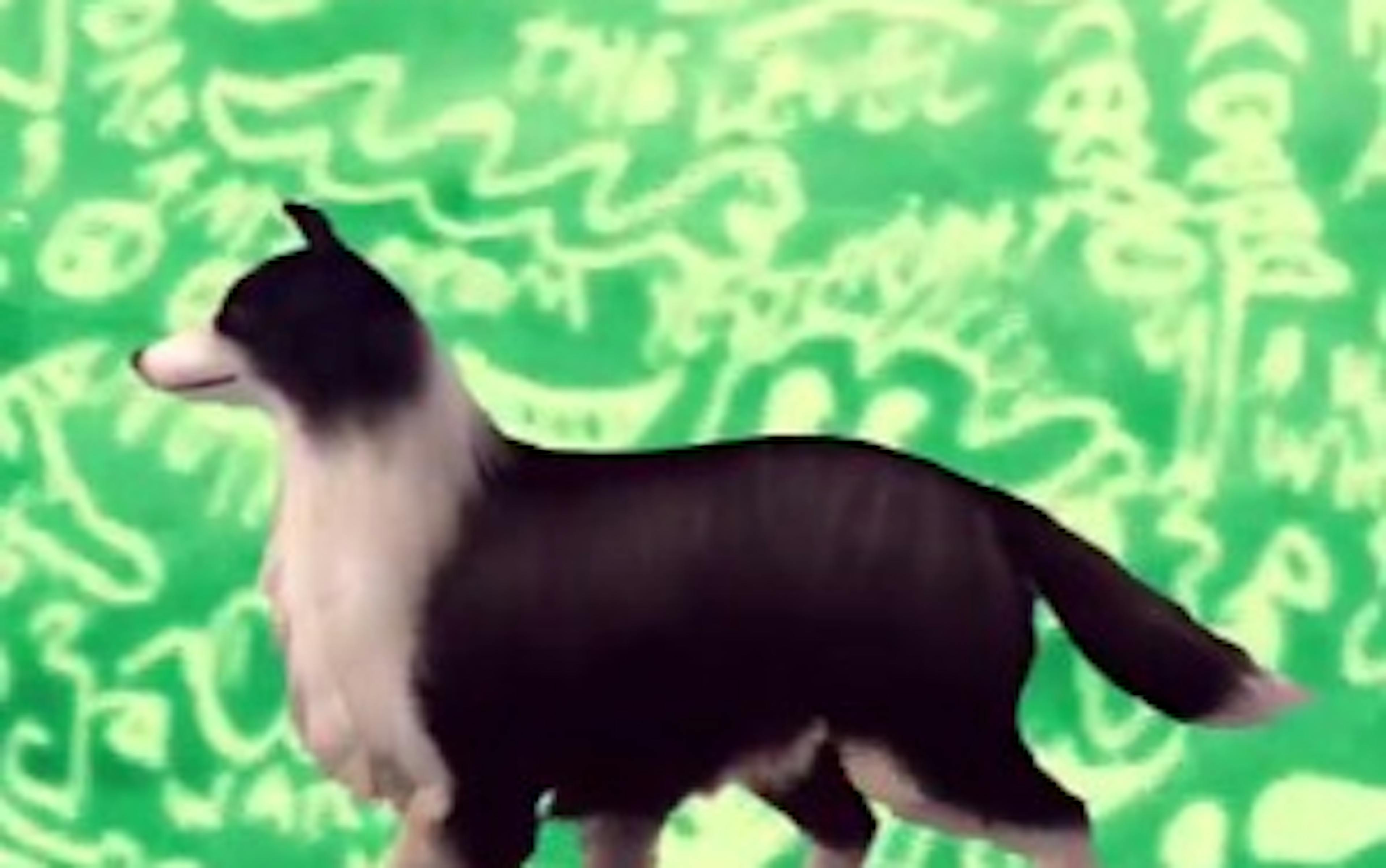 Deux clips minimalistes et bien perchés pour les nouveaux sons de Mac DeMarco 1 owuzm2vhytatzmzlyi00ndfiltk1yzktzge1zte3nza1mmu0 unemac