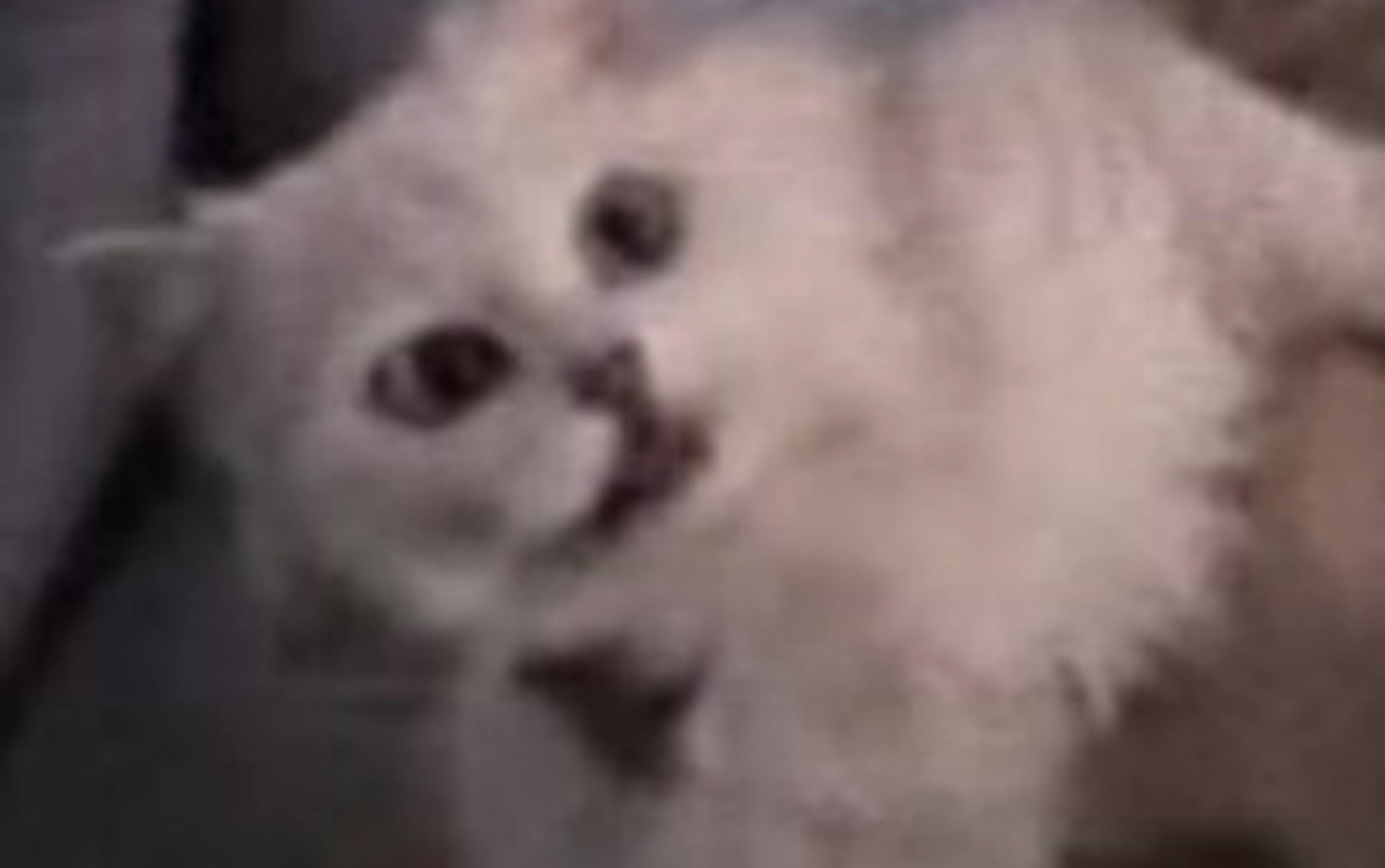 En vidéo, les pires figurants de l’histoire du ciné 1 ymvhn2u4ywmtzwm5ni00odc2lwiznjitythintnmymrjotji figurants 2