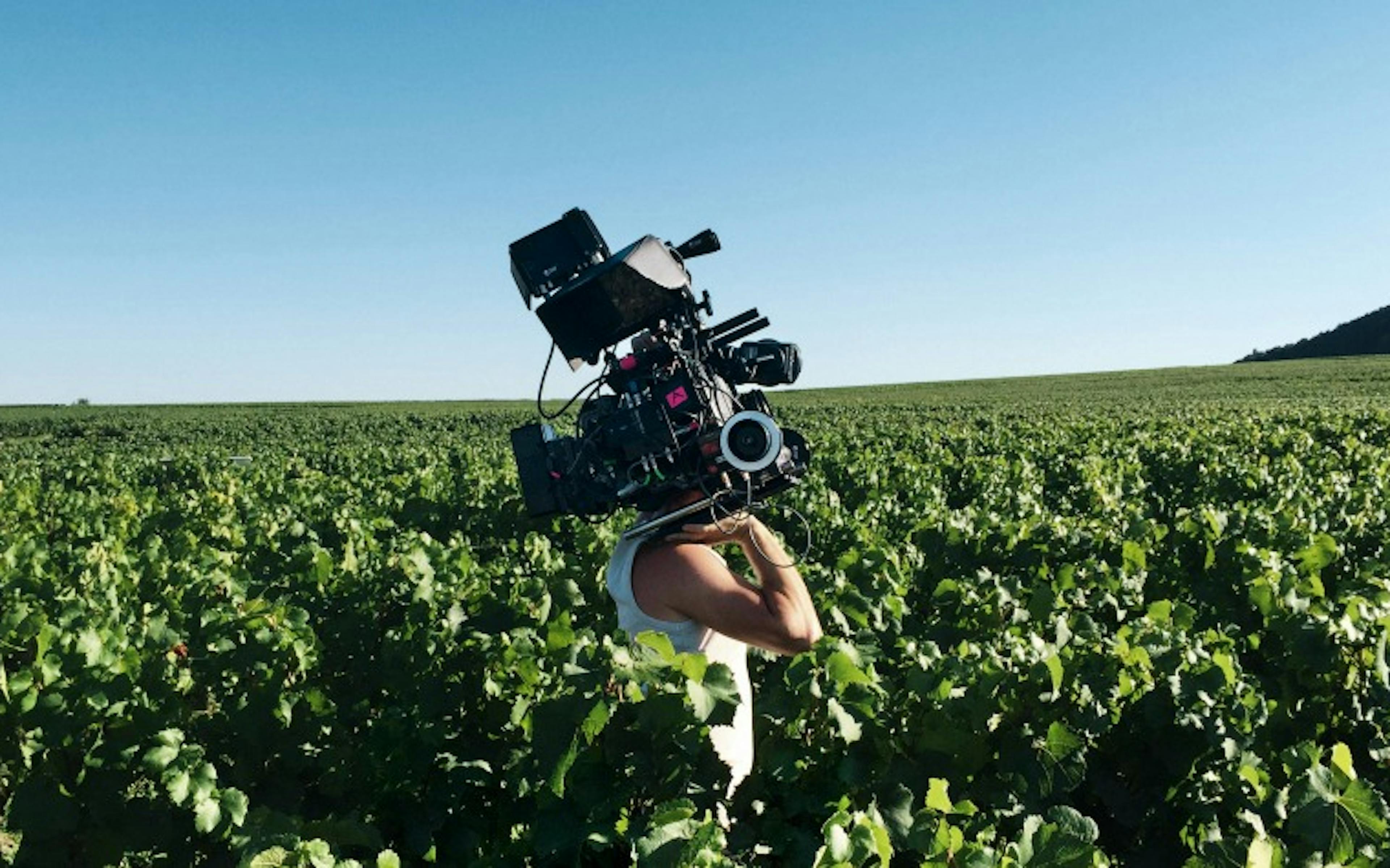 Nature Humaine : la nouvelle expo grand cru de Cédric Klapisch 1 yzfjmgmyzwetmdaymi00mtcxlthinjatmme0ndgzotg2otgz fbimg 1308