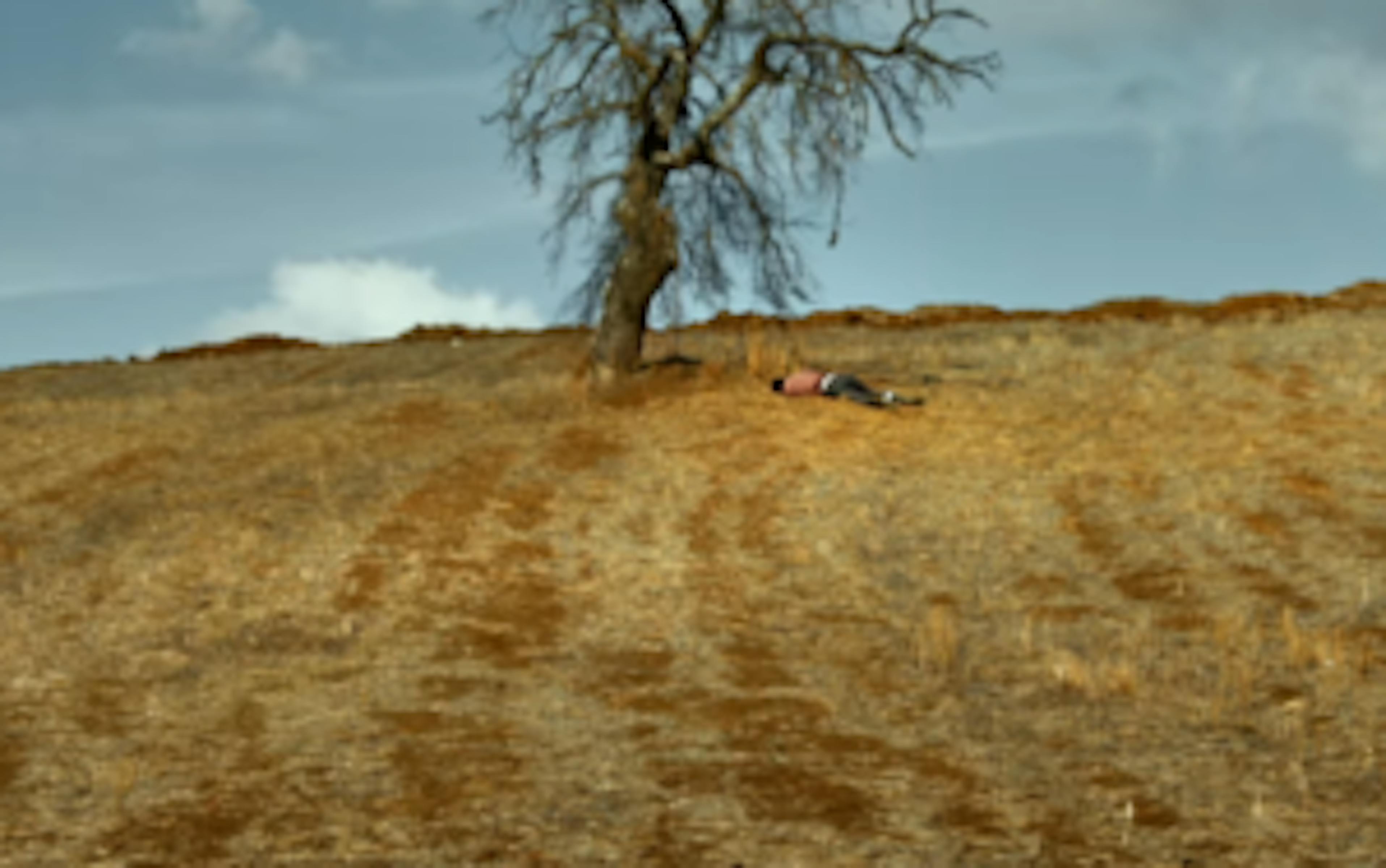 Le Poirier Sauvage de Nuri Bilge Ceylan dévoile son premier teaser impressionniste 1 yzziotlmnzgtmtg1ys00ogmylthiyjatotbkzdexnjq4m2vl ceylan une