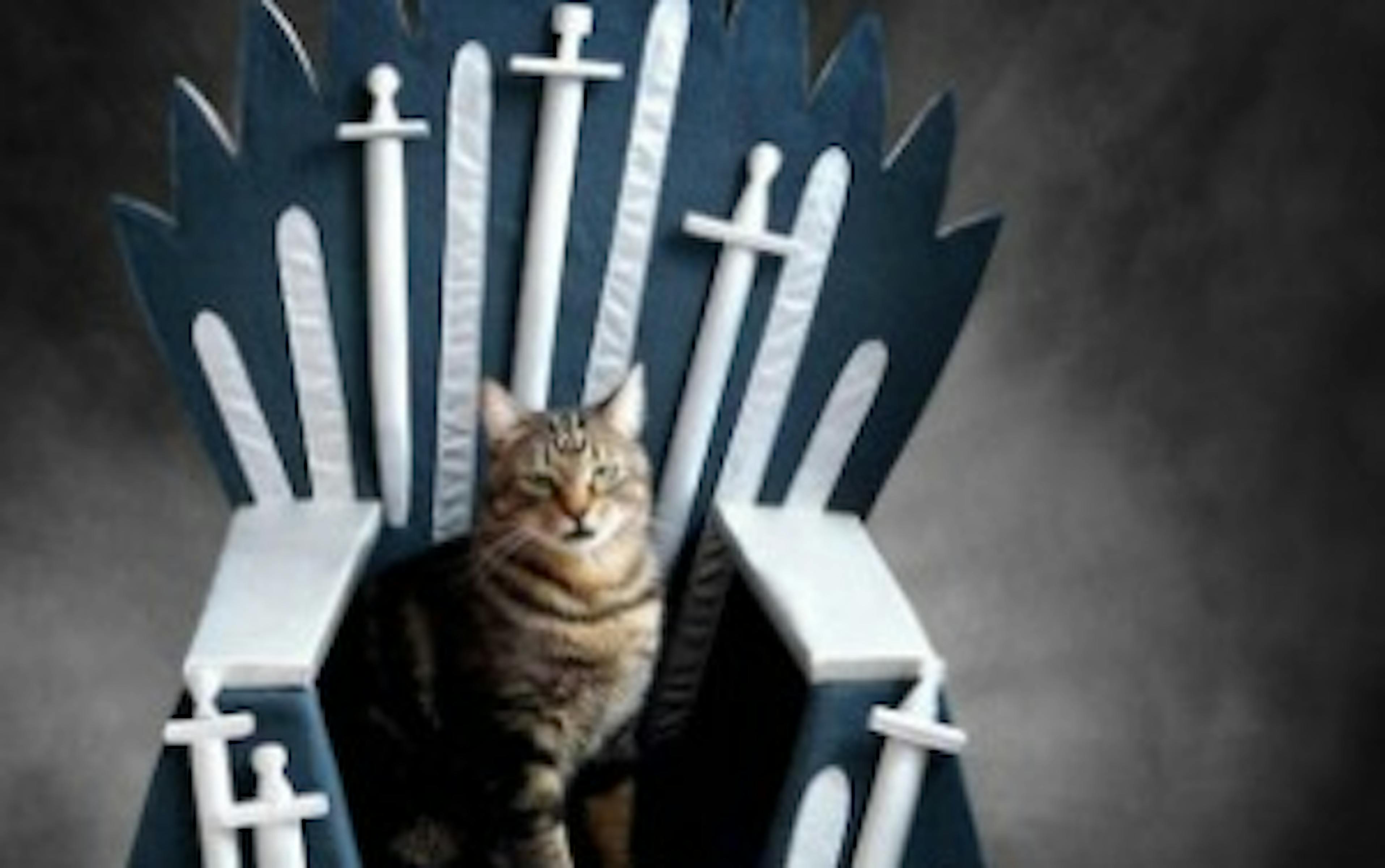 NEED: Les Iron Thrones, ces lits pour chats version Game of Thrones 1 zgjjzwuwztytmmzjny00yjywlwi1ztqtn2i2zjvkytmyymrk got 2