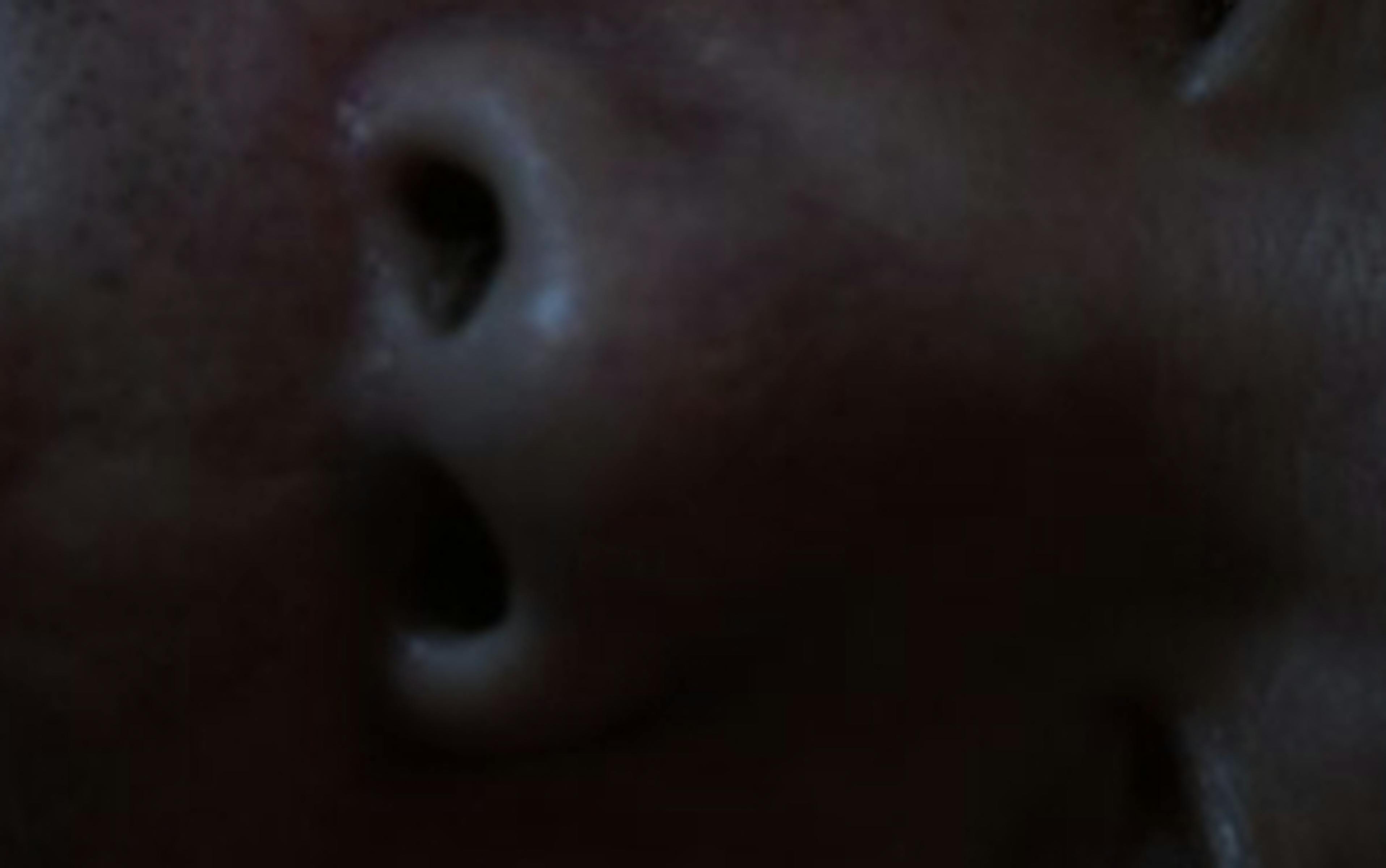 Bande-annonce : Caniba, entretiens avec un psychopathe 1 zjjmoduwywmtngu3ni00mmnklthiyjmtogjlyznmn2vjmgvk caniba 2