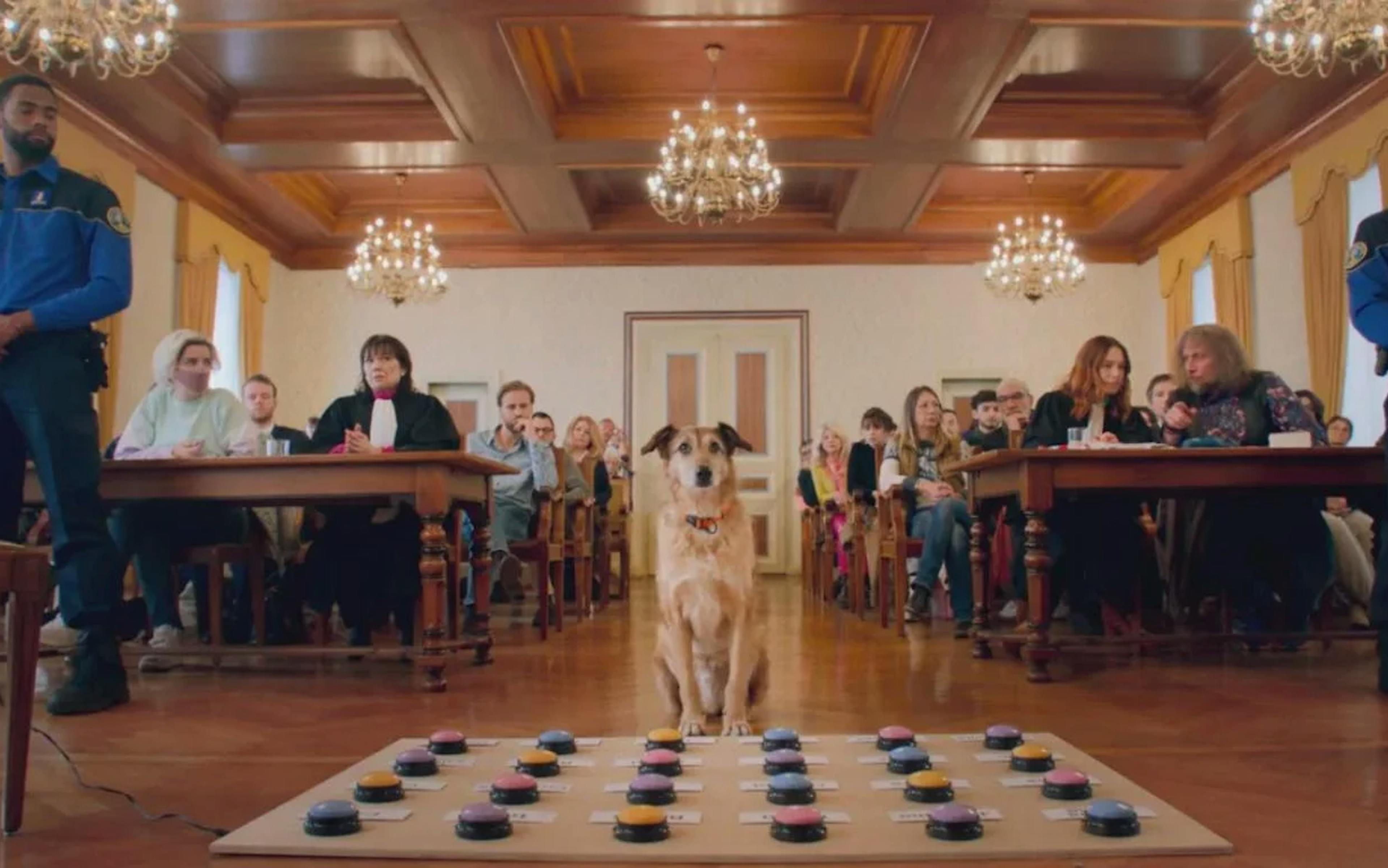 CANNES 2024 · Un festival de chiens stars 1 zmbgtjm069vx1llx leprocesduchien c bandec3a0partproductions