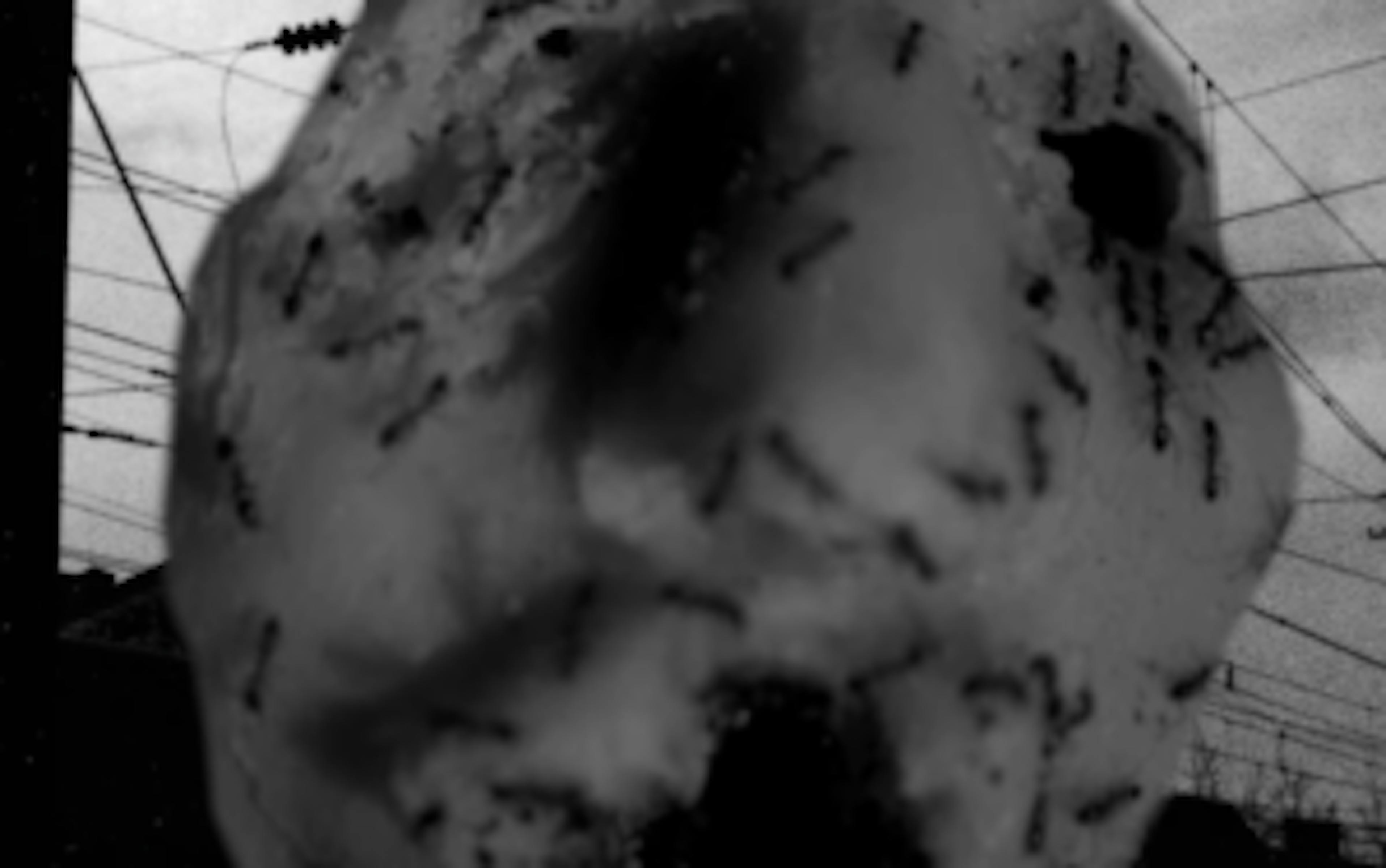 Ant Head: le nouveau court-métrage bizarroïde de David Lynch 1 ztqyztezmgutn2i1ny00zge5lwe1mjutytk4mmfjzdg3nmnh lynch une