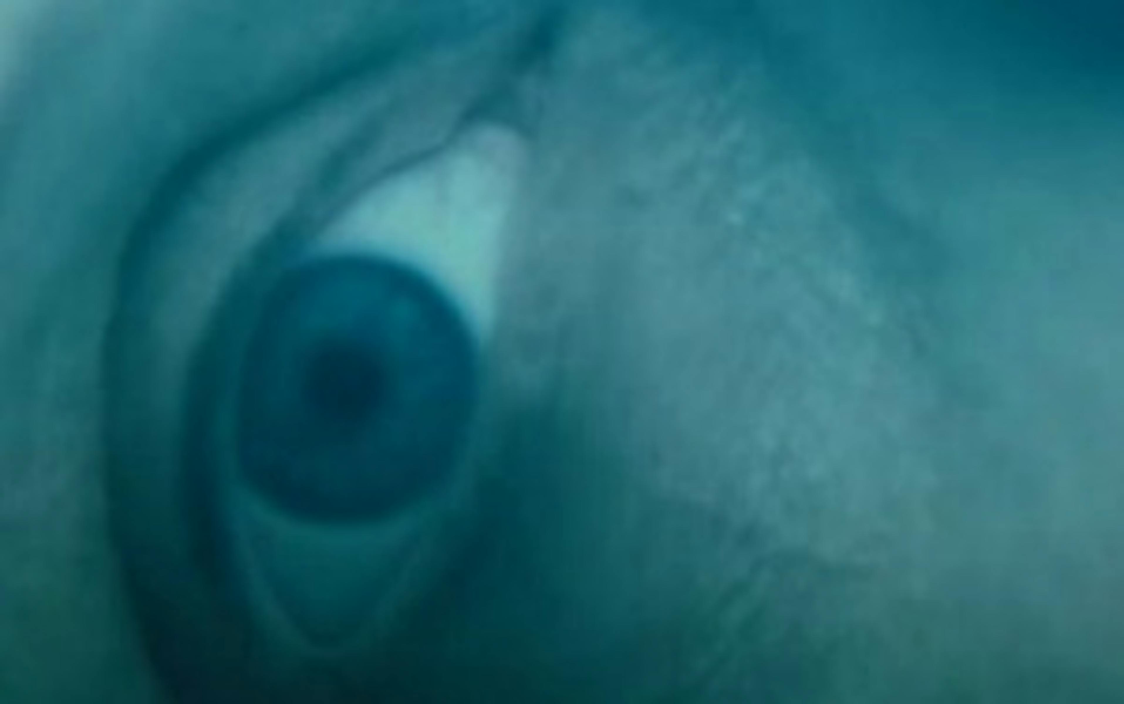 Pour revigorer le cinéma de genre, le CNC et SOFILM installent des résidences 1 zwi1nwrlyzktnzawzc00zdc1lwezyjgtnzrkntk5mjvmmjbi cinema genre 2