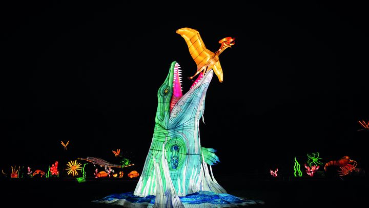 3 idées de sorties avec les enfants 3 jurassique en voie dillumination