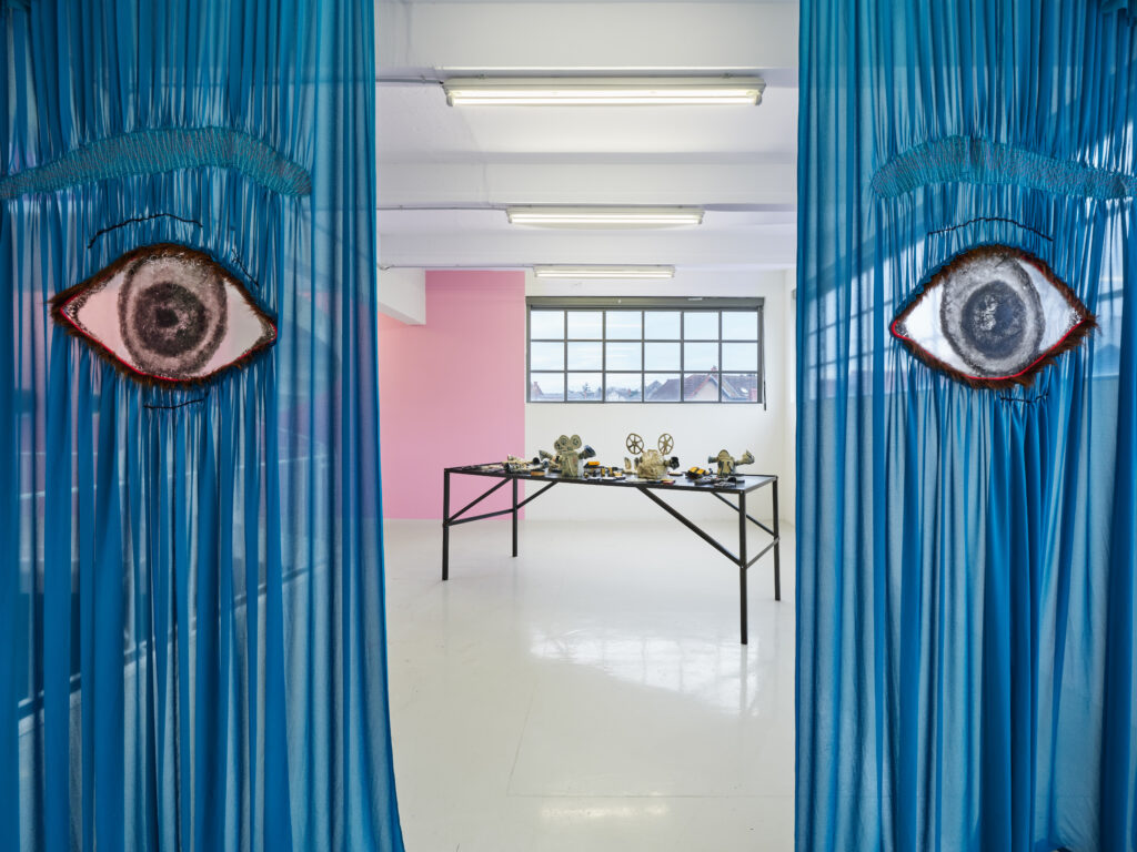 3 expos en régions qu’on vous recommande en ce moment 2 Marie Losier, vue de l’exposition « Hooky wooky », 2025 © Jean-Christophe Lett – Entre Peaux Transpalette