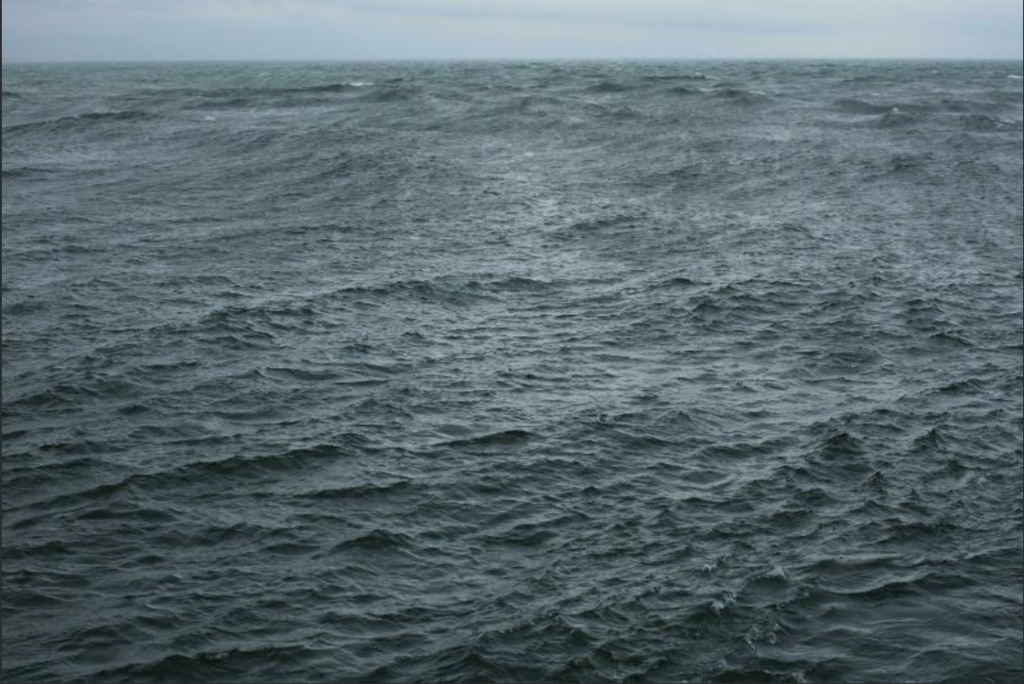 Wolfgang Tillmans