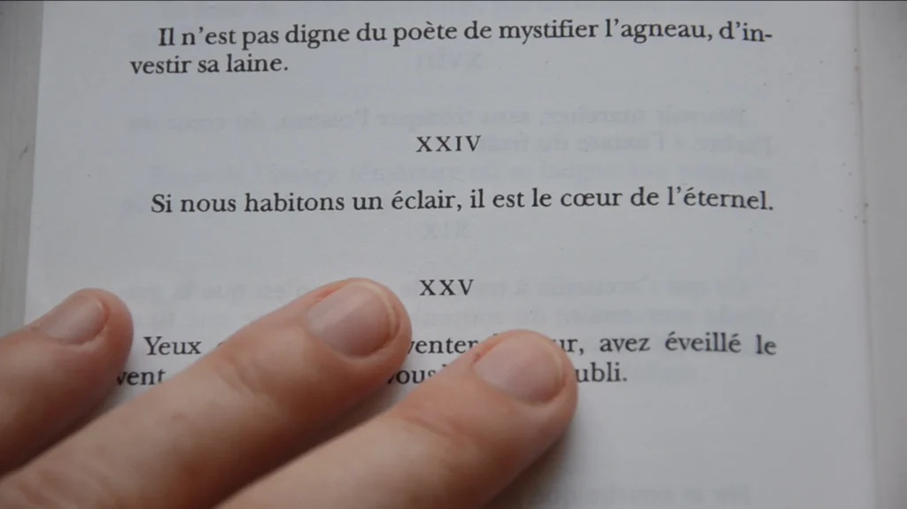 Radu Jude, Pierre Creton... Le FID Marseille 2025 dévoile sa programmation 2 fidmarseille 2025 the heart of eternity still 2560x q85