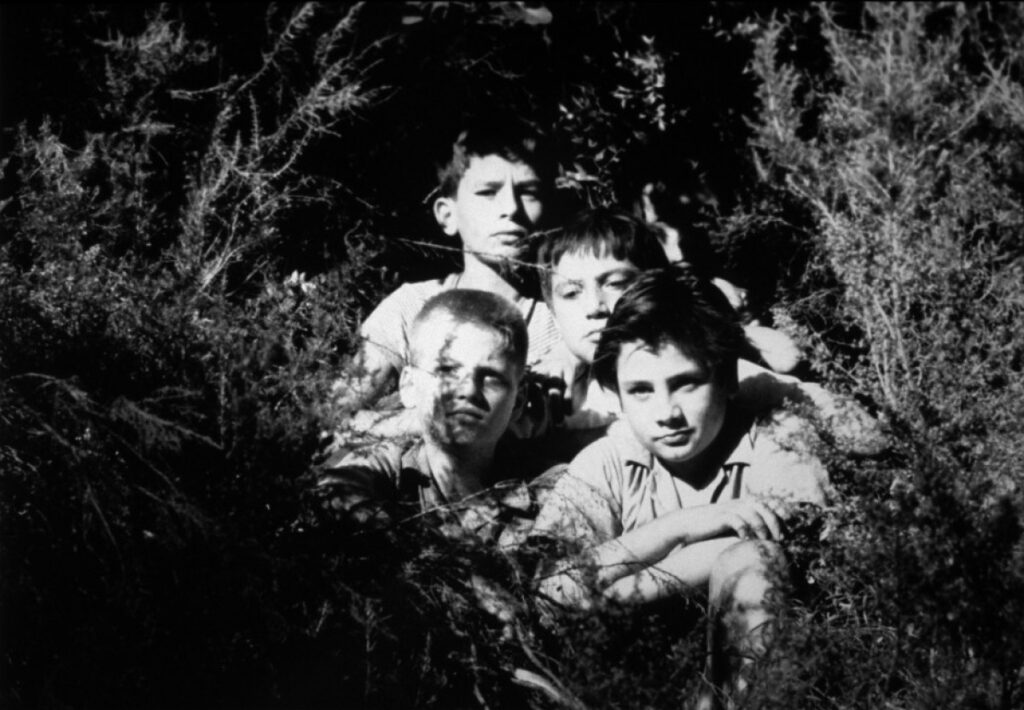 5 films français à voir sur les enfants en vacances (entre jeux, doutes et révoltes) 3 les mistons 1958 03 g