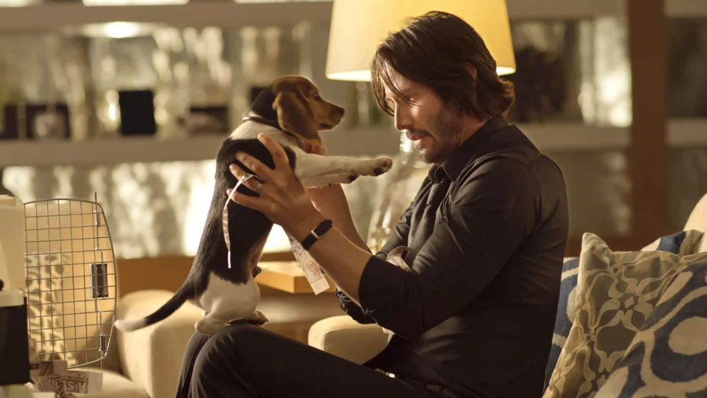 Pourquoi tue-t-on les chiens au cinéma ? 1 Keanu Reeves John Wick