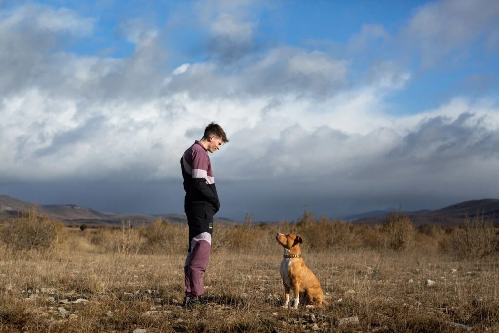 Pourquoi tue-t-on les chiens au cinéma ? 3 chien de la casse