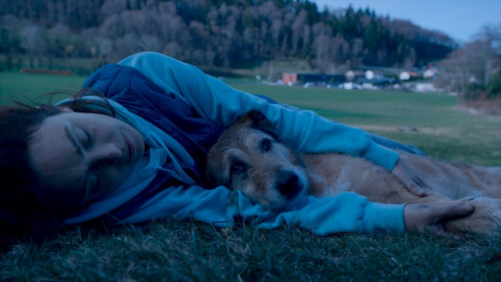 Pourquoi tue-t-on les chiens au cinéma ? 4 le proces du chien