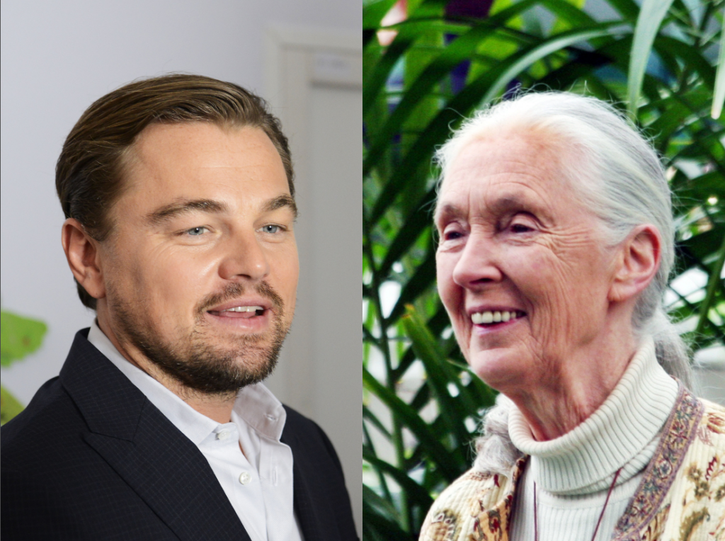 Leonardo DiCaprio