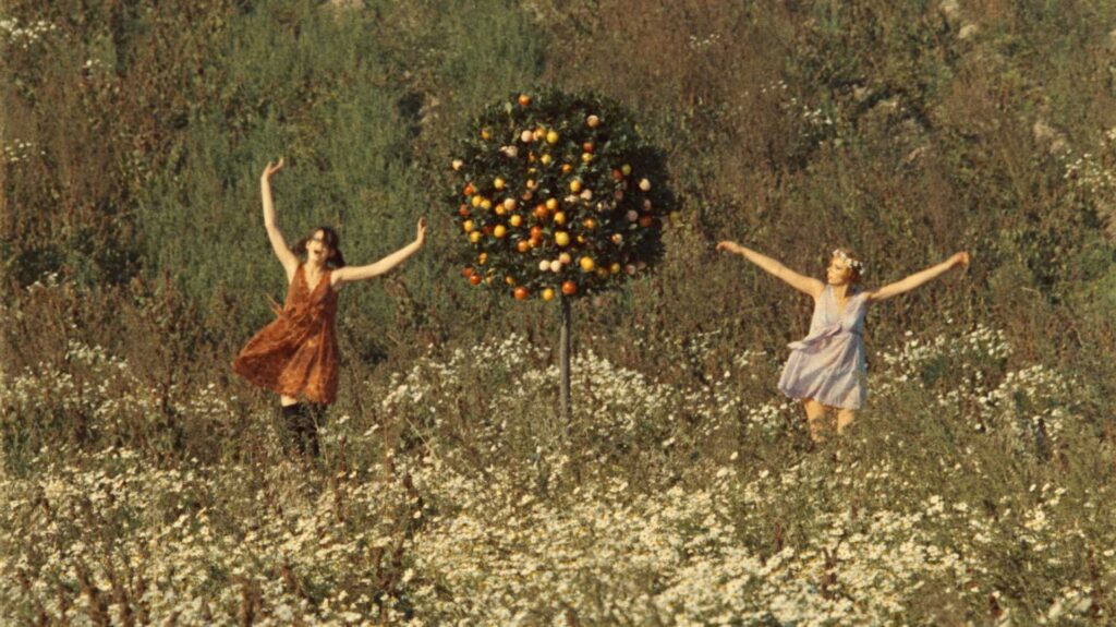 Les Petites Marguerites 1 © Malavida 1