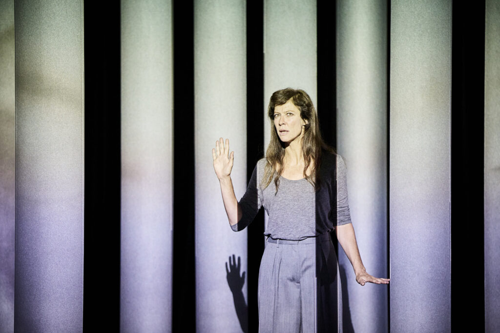 La chair est triste hélas