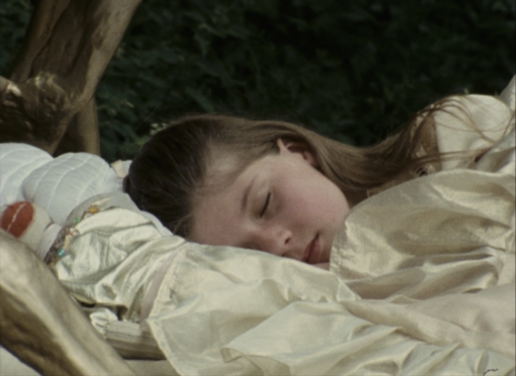 un reve plus long que la nuit