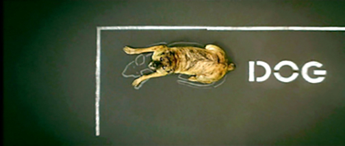 Nos 30 chiens préférés au cinéma 28