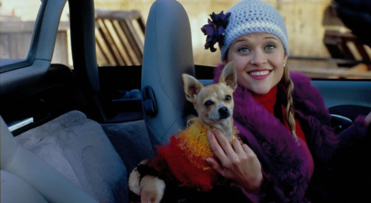 Nos 30 chiens préférés au cinéma 4 bruiser la revanche dune blonde