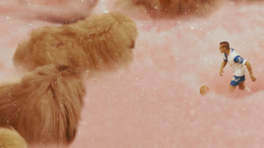 Nos 30 chiens préférés au cinéma 10 diamantino 2