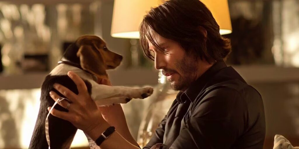 Nos 30 chiens préférés au cinéma 30 john wick and his puppy daisy in john wick