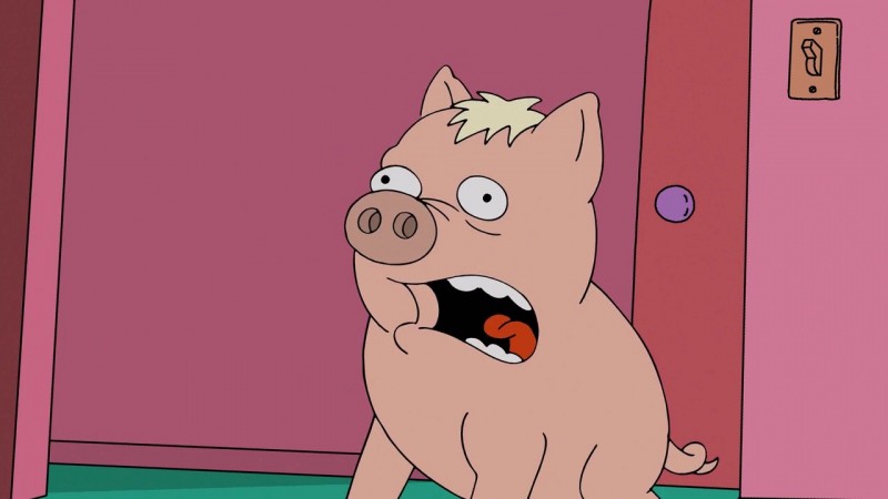 Nos 30 chiens préférés au cinéma 29 spider cochon 26567