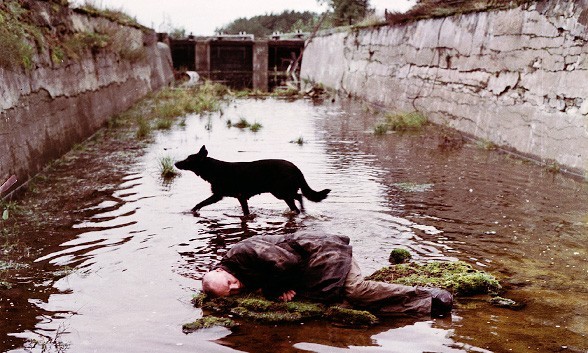 Nos 30 chiens préférés au cinéma 20 stalker