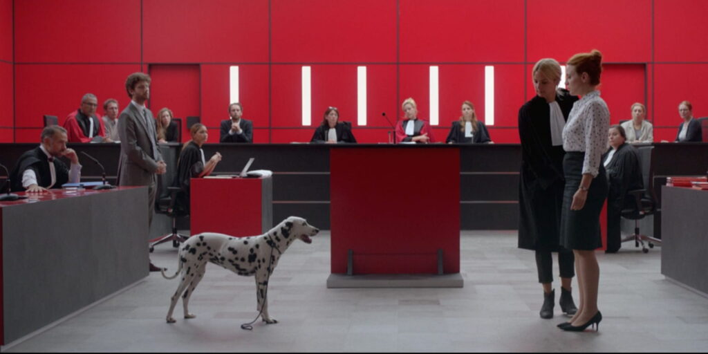 Nos 30 chiens préférés au cinéma 19 victoria