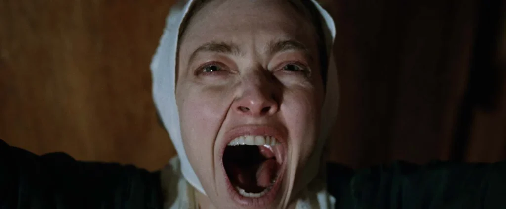 Amanda Seyfried : « La pure comédie très ridicule, c’est vraiment mon truc. » 2 9d57b69d8228af1ac9dd7afb12050bd6