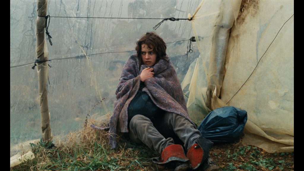 sans toit ni loi 2026 05 cine tamaris films a2 1024x576 1