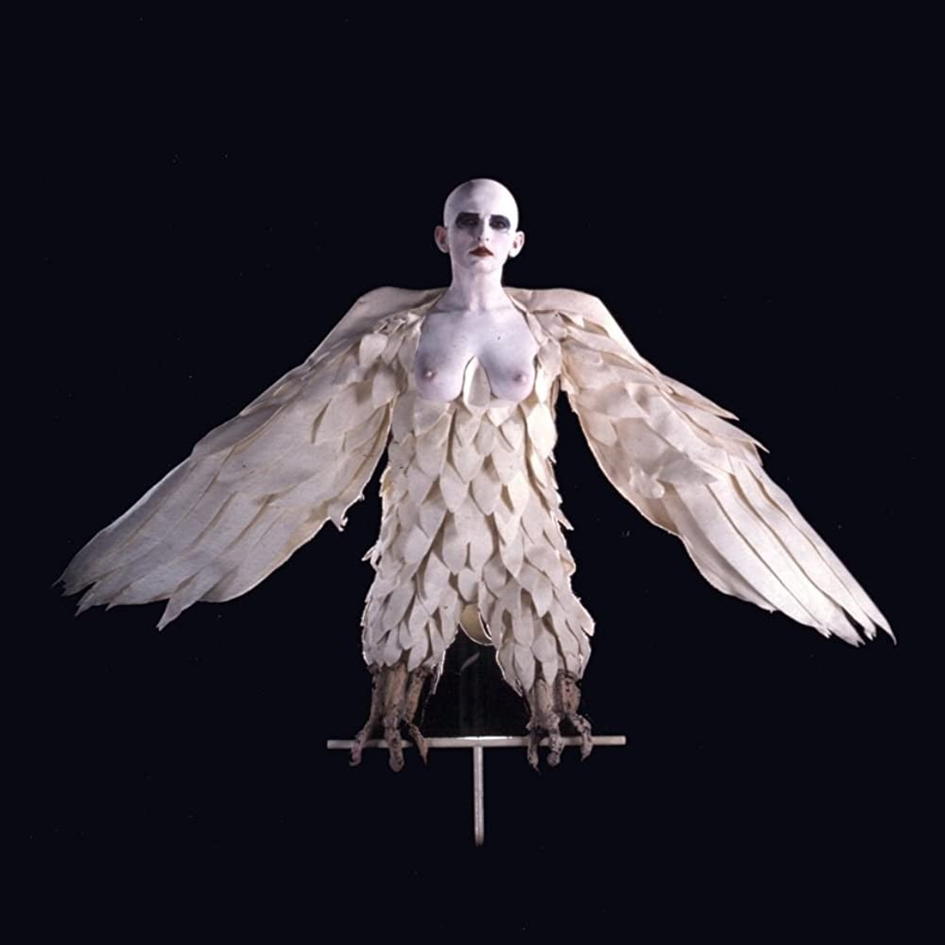 QUEER GAZE ⸱ Laurens Saint Gaudens, photographe et cinéaste : « Je m’identifiais autant à Dracula qu’à ses maîtresses. » 5 image 13