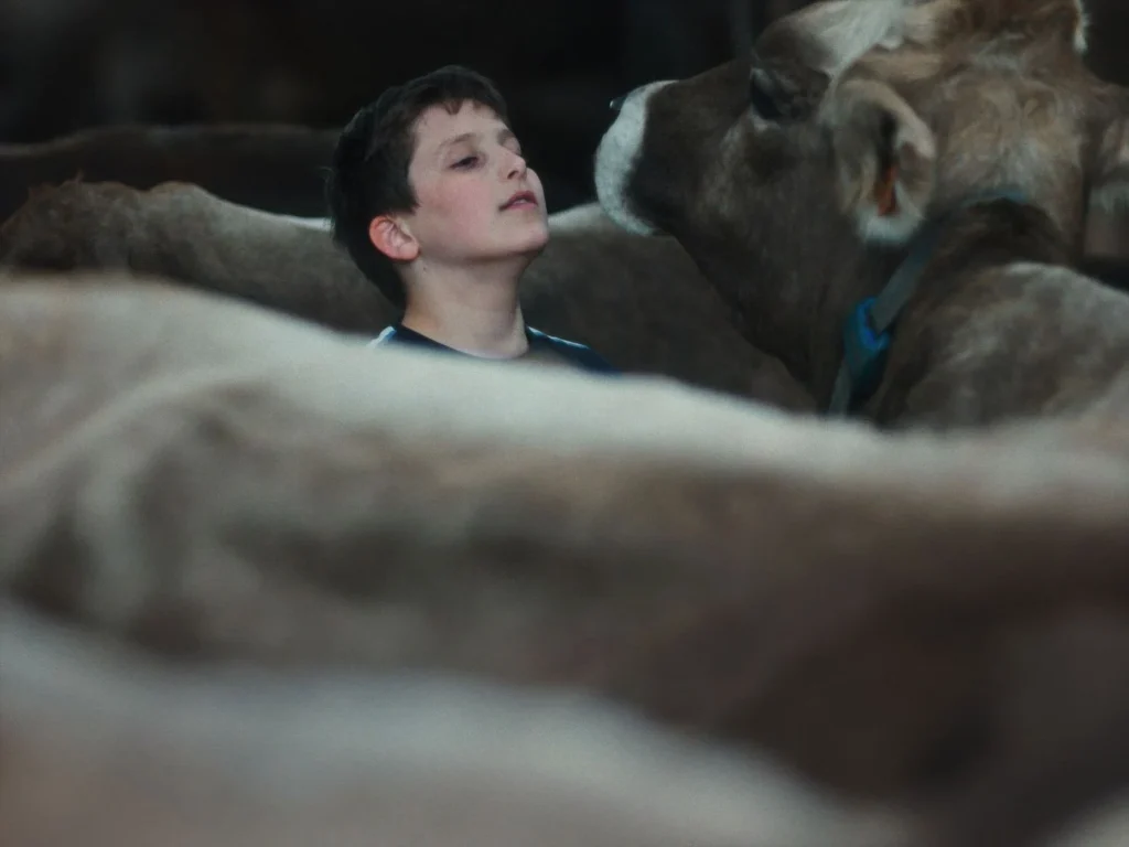 CANNES 2026 · « Gabin » de Maxence Voiseux : l'odyssée rurale d'un jeune héros sur dix ans 2 a26fbf6e8c082e9897235f3bdc766e99
